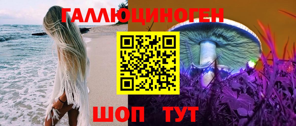Псилоцибиновые грибы мухоморы  Вход с VPN  Кольчугино 